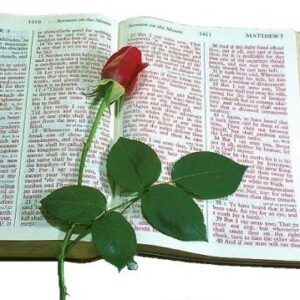 Scripture-Based